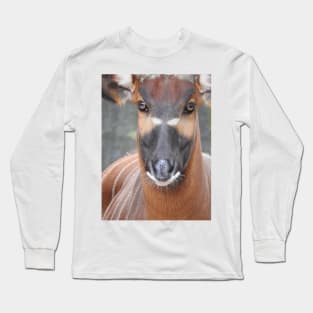 Bongo Long Sleeve T-Shirt